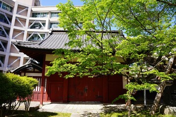 信州　飯田城　桜丸御門　赤門