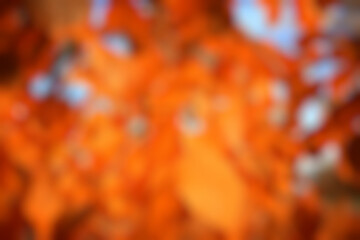 Blurred warm autumn background with fallen leaves, out of focus, gradient backdrop