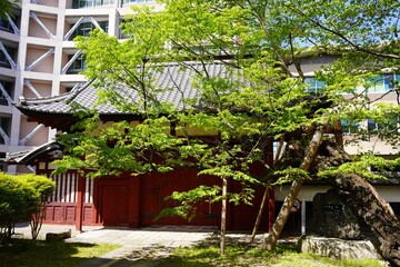 信州　飯田城　桜丸御門　赤門