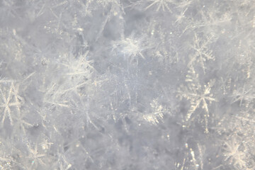 Winter white snow background, abstract blurred snowfall surface