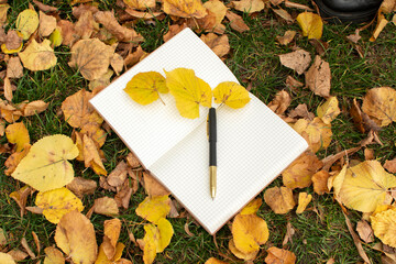 A pen lies on an open notebook