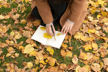 A woman's hand writes in a notebook with a pen	