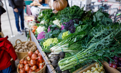 Table full of vegetables including broccoli, cauliflower, and green beans