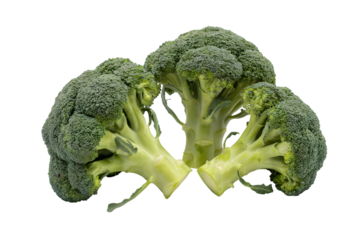 fresh broccoli florets ready for a healthy meal . Isolated on transparent background, png