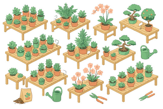 Isometric collection of potted succulents, small trees, flowering orchids, and gardening tools on wooden display tables