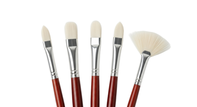 Isolated art brushes for painting, bristle tools with wooden handles, artistic hobby