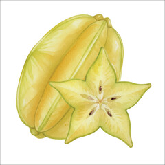Fototapeta premium Starfruit Watercolor Vector Illustration Isolated on White 