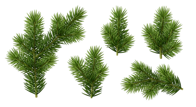 Collection of realistic green pine branches isolated on transparent background - Powered by Adobe