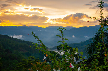 Wonderful nature view representing conserve our planet earth.