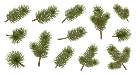 Evergreen Fir Branches Isolated Illustration Christmas Decor Elements Natural Pine Tree Twigs Festive Spruce Foliage Winter Holiday Season Evergreen Branches Greenery Decoration Seasonal Botany