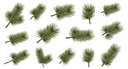 Christmas Decoration Green Fir Twigs Collection for Festive Season Holiday Ornament Arrangement Isolated Elements Botanical Evergreen Sprigs Set Winter Conifer Branches Decorative