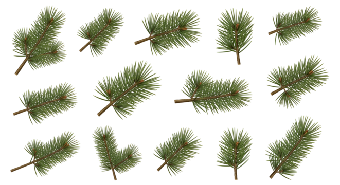 Christmas Decoration Green Fir Twigs Collection for Festive Season Holiday Ornament Arrangement Isolated Elements Botanical Evergreen Sprigs Set Winter Conifer Branches Decorative