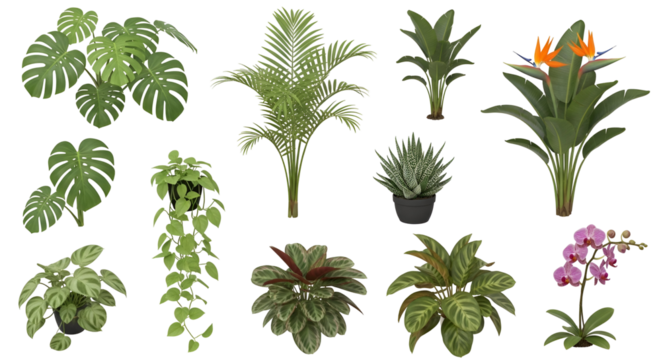 Botanical Variety A Diverse Collection of Tropical Foliage and Exotic Blooms Featuring Monstera Deliciosa Palm Leaves Bird of Paradise Calathea Ornata Orchids and Climbing Vines In A 3D Rendering