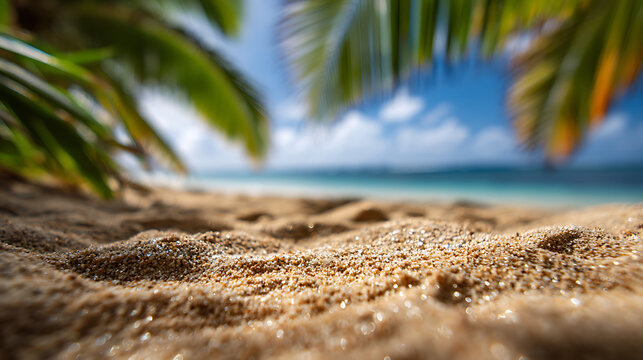 Sandy beach with palm leaves and ocean view tropical - Powered by Adobe