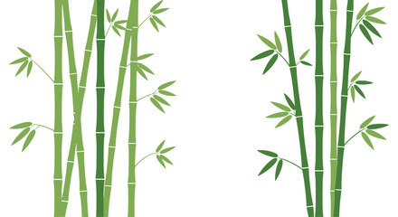 Serene green bamboo stalks with delicate leaves create a tranquil natural backdrop for peaceful design projects