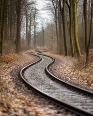 Winding Railway Tracks in Autumn Forest