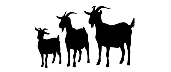 three silhouettes of goats on a plain transparent backgroundanimal, black, goat, illustration, profile, stand 