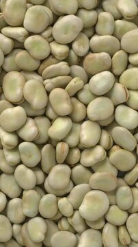 Raw broad beans with a second skin, food texture. Table spin, flat lay, vertical video.
