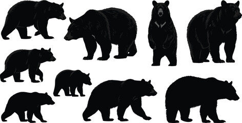 Bear silhouettes in varied poses and orientations, wildlife vector set for forest animal design, nature themes, and educational illustration use.
