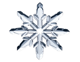 Intricate, six-pointed crystal snowflake against black