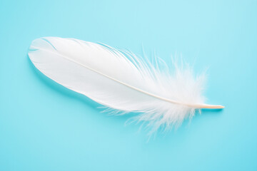 Obraz premium Soft white feather resting gently on pastel background. Minimalist composition symbolizing lightness, purity, and calm elegance.