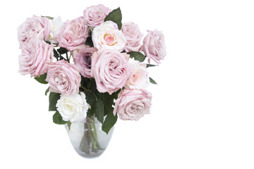 Pink roses isolated on transparent background 