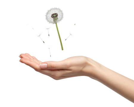 A delicate female hand gently releasing dandelion seeds into the air, soft natural li 
