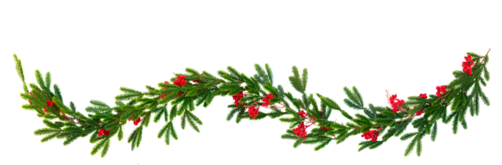 Christmas garland isolated on transparent background 