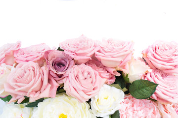 Pink roses isolated on transparent background 