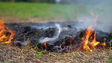 Closeup of dry grass and agricultural waste burning in a field producing smoke and flames highlighting environmental concerns and traditional farming practices.