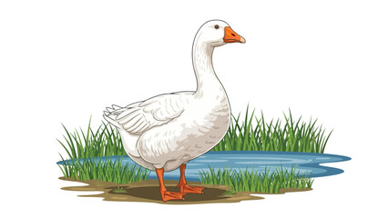 A white goose stands on the grassy bank of a blue pond