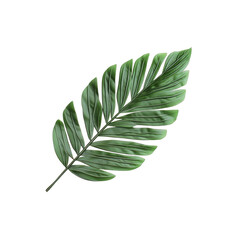 Green palm frond isolated against a Transparent Background