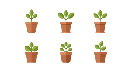 Fototapeta premium Six small green plants growing in simple terracotta pots on a white background
