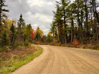 country dirt road in autumn