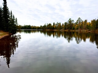 reflection of trees in water