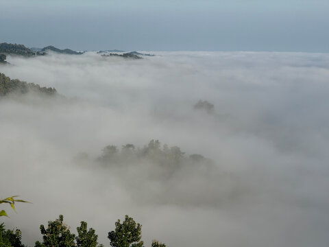 Misty coastal landscape with fog rolling over green hills and ocean - Powered by Adobe