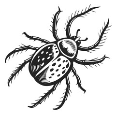 Obraz premium black spider vector illustration