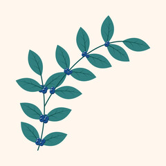 Blueberries. Winter plant. Winter branches and leaves. Winter floral elements. Holiday decoration. Vector illustration