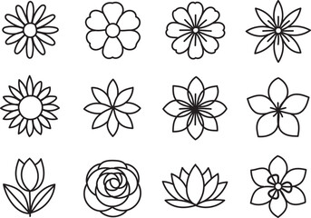 Hand Drawn Minimalist Botanical Line Art Icons Collection of Floral Outlines for Modern Design
