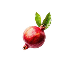 Pomegranate on black