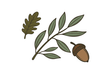 Hand-drawn Oak Leaf, Branch with Leaves, and Acorn on White Background