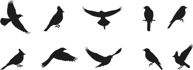 Bird silhouettes, flying and perched, black shapes, white background, avian poses, nature illustration, wildlife vector, artistic bird design