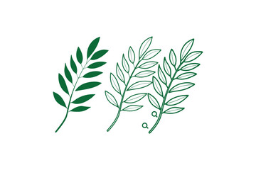 Simple Green Leafy Branches on a White Background, Minimalist Botanical Illustration