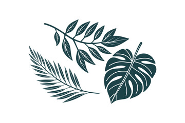 Tropical Leaves Silhouette: Monstera, Palm, and Branch on White Background