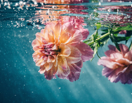 Orange flower covered macro photo with water droplets under water