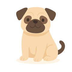 Fototapeta premium pug with a light beige coat and dark facial markings sits happily. Pug' s round eyes and small ears add to its charming appearance.