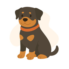 Rottweiler dog sits happily with a friendly demeanor. Rottweiler features a brown and black coat and an orange collar