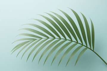 Obraz premium Single green palm leaf on blue background