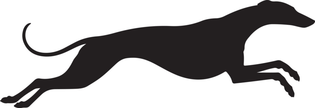 Running Greyhound Silhouette Vector Illustration 