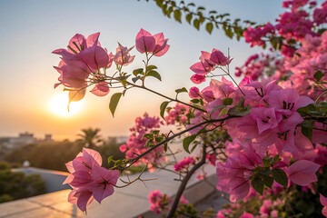 beautiful flowers in the sun